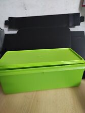 Tupperware rettangolare conten usato  Sarno