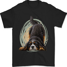 Cane bovaro bernese usato  Spedire a Italy