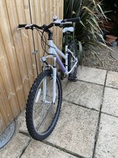 Python rock mountain for sale  GRANTHAM