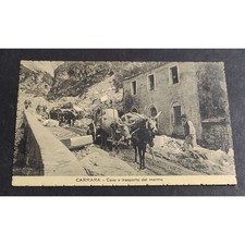 Cartolina carrara cave usato  Alessandria