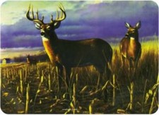 Deer tuftop worktop gebraucht kaufen  Versand nach Germany