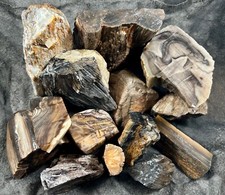 Mixed box petrified for sale  Fountain Valley