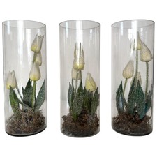 Set faux frozen for sale  Warren