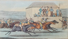 Ascot races horse for sale  SALISBURY