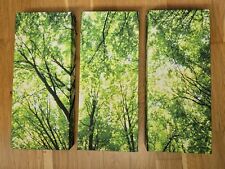 Green trees canvas for sale  LEEDS