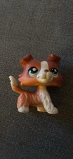 lps collie for sale lps collie for sale BRAINTREE
