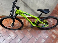 Bicicletta mountain bike usato  Monteforte Irpino