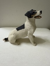 Castagna jack russell for sale  SHANKLIN