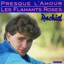 Presque amour flamants d'occasion  Joinville