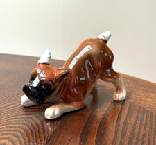 Vintage boxer puppy for sale  Omaha