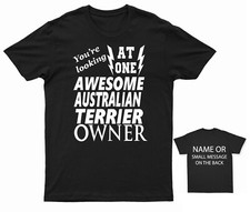 Awesome australian terrier for sale  BRISTOL