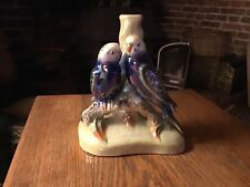 Budgie jemma holland for sale  CROWBOROUGH