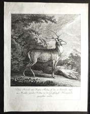 Grande gravure johann d'occasion  Nemours