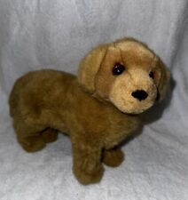 Douglas mini golden for sale  Lawrenceville