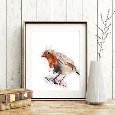 Robin bird wall for sale  STOURBRIDGE