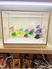 Poisson lalique aquarium d'occasion  Limoges-