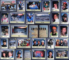 1992 motorart iditarod for sale  USA