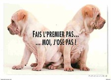 Animaux chiens sharpei d'occasion  Fruges