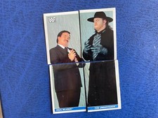 Wwf wrestling titan usato  Canelli