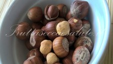 Nocciole tostate guscio usato  Italia