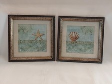 Starfish seashell prints for sale  Clearfield