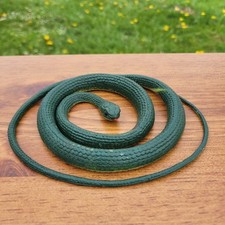 Green snake coiled for sale  Chimacum