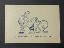 Palio siena tartuca usato  Siena