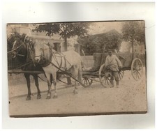 Papp foto format gebraucht kaufen  Neugersdorf