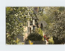 Postcard anne hathaway for sale  Almond