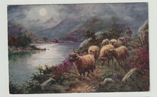 Vivian mansell art for sale  SUTTON-IN-ASHFIELD