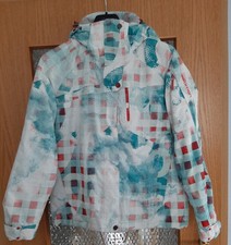 Salomon damen ski gebraucht kaufen  Petersberg, Wettin-Löbejün