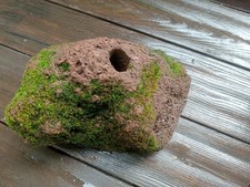 Quellstein lava 31x18x17cm gebraucht kaufen  Frankfurt am Main
