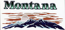 Adesivo MONTANA RV Graphic Lettering END CAP VERSÃO 2003 , usado comprar usado  Enviando para Brazil