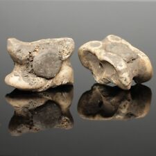 Superb ancient roman for sale  UK