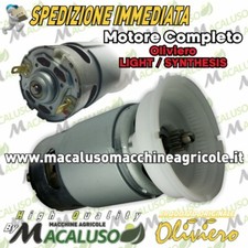 Motore oliviero light usato  San Mauro Castelverde