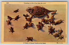 Cartão postal c1940s Greetings from Horned Toads Tucson Arizona Desert Linen comprar usado  Enviando para Brazil