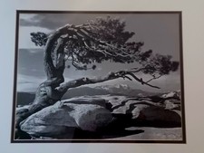 1959 ansel adams for sale  Alhambra