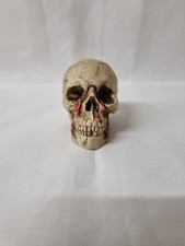 Skull skeleton ornament for sale Skull skeleton ornament for sale  HULL