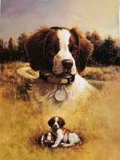 Larry chandler springer for sale  Annandale