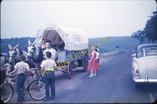 Covered wagon horse for sale  Prairie Village