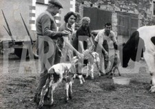 Vintage fattori con usato  Roma