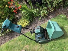 Suffolk colt self for sale  STOCKPORT