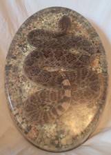 Real diamondback rattlesnake for sale  Cleveland