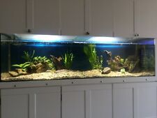 aquarium 5ft for sale  SHREWSBURY