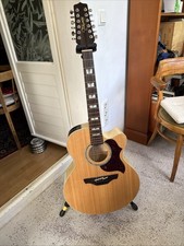 Takamine saitige westerngitarr gebraucht kaufen  Köln