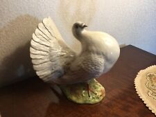 Beswick fantail pigeon for sale  CREWE