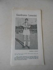 Ritaglio clipping leoncini usato  Torino
