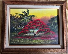 Lewis original florida for sale  Canastota