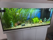 Juwel rio 180 gebraucht kaufen  Heinsberg