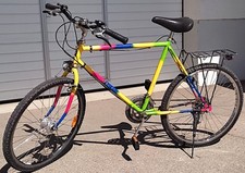 Pegasus mountainbike mtb gebraucht kaufen  Hohenfurch